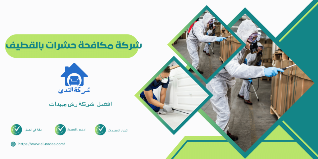 شركة مكافحة حشرات بالقطيف