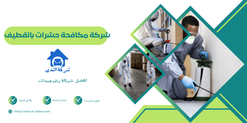 شركة مكافحة حشرات بالقطيف