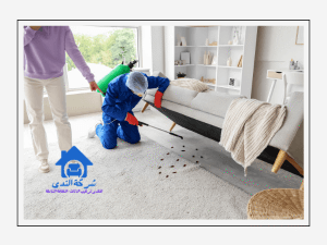 شركة مكافحة حشرات بالقطيف