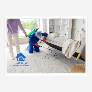 شركة مكافحة حشرات بالقطيف