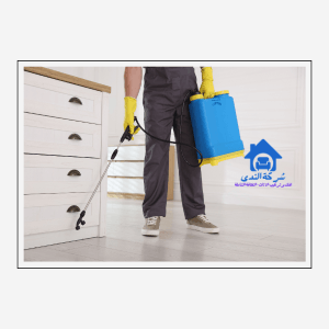 شركة مكافحة حشرات بالقطيف