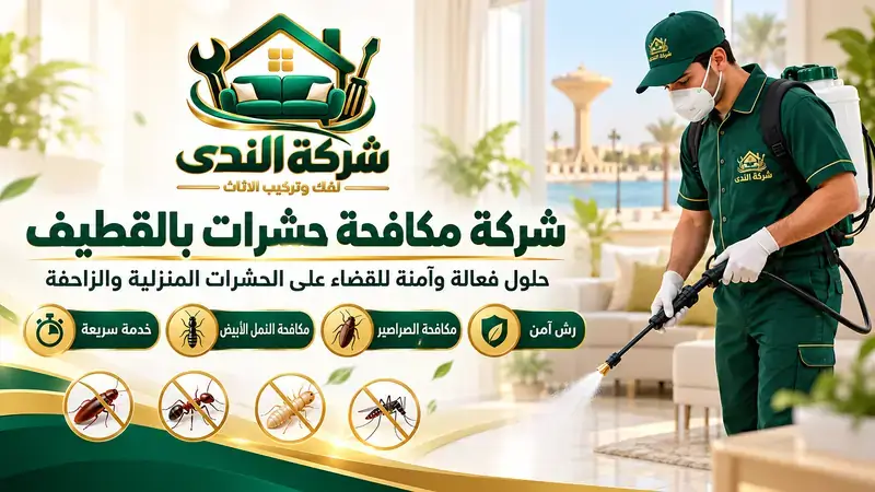 شركة مكافحة حشرات بالقطيف
