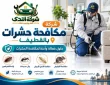 شركة مكافحة حشرات بالقطيف