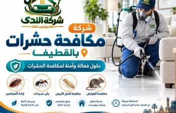 شركة مكافحة حشرات بالقطيف